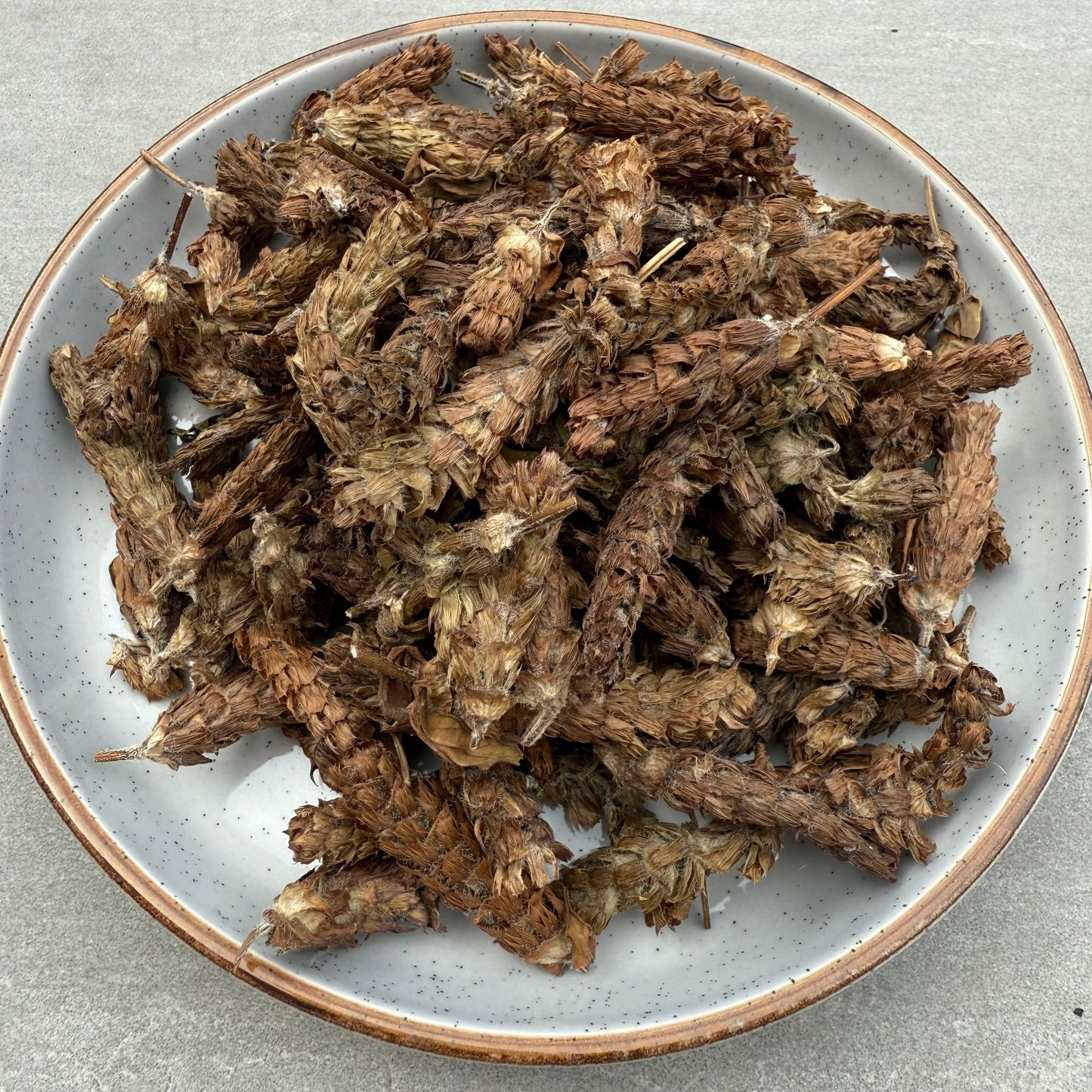 夏枯草