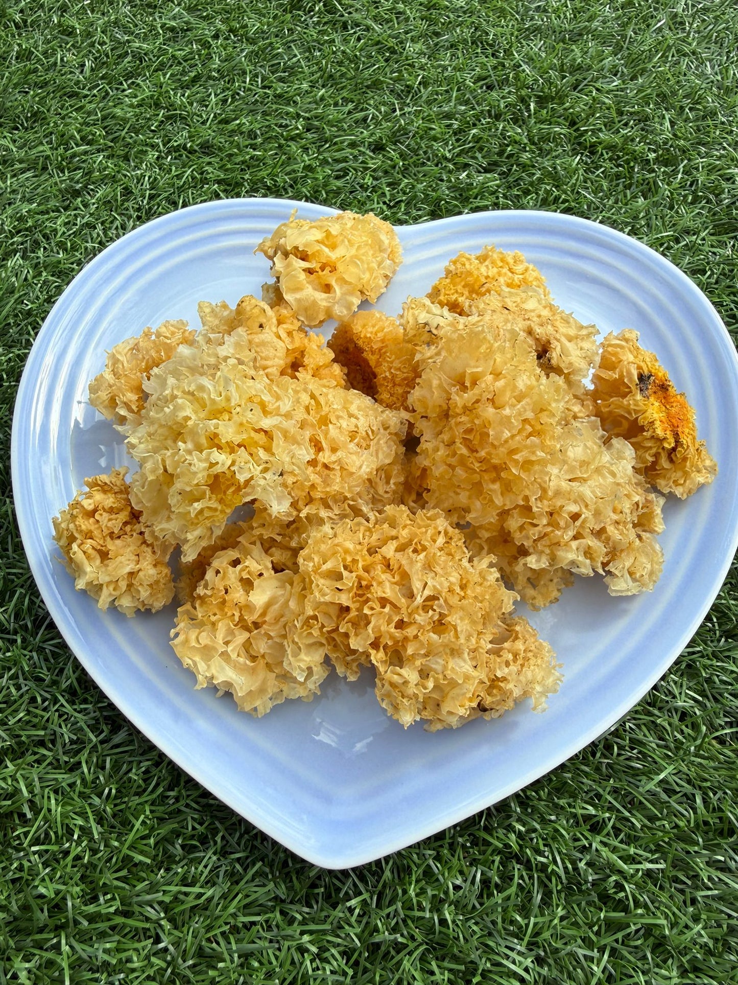 漳州銀耳