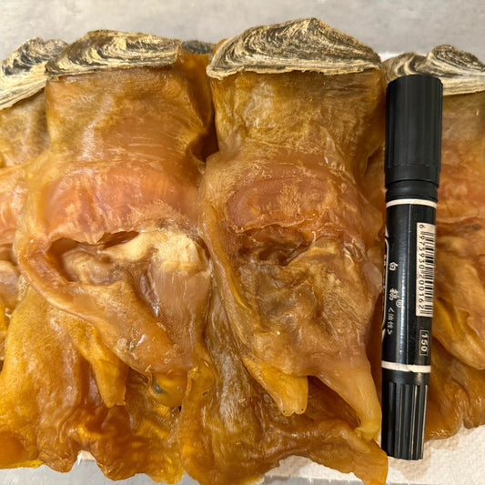 【厚身鮮甜】美國珍寶有奄響螺乾- XXL (一斤約4-5隻)