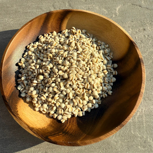 【祛濕清熱】生薏米