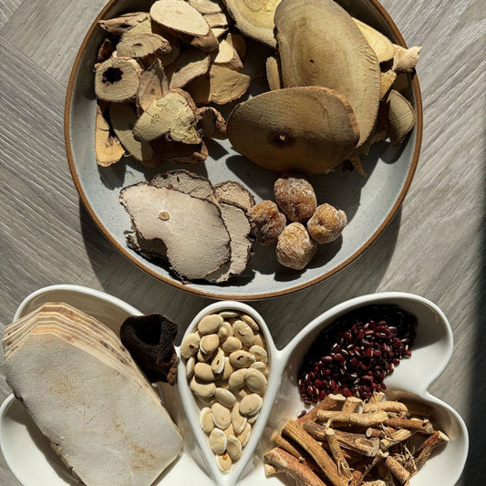 五指毛桃牛大力袪濕湯