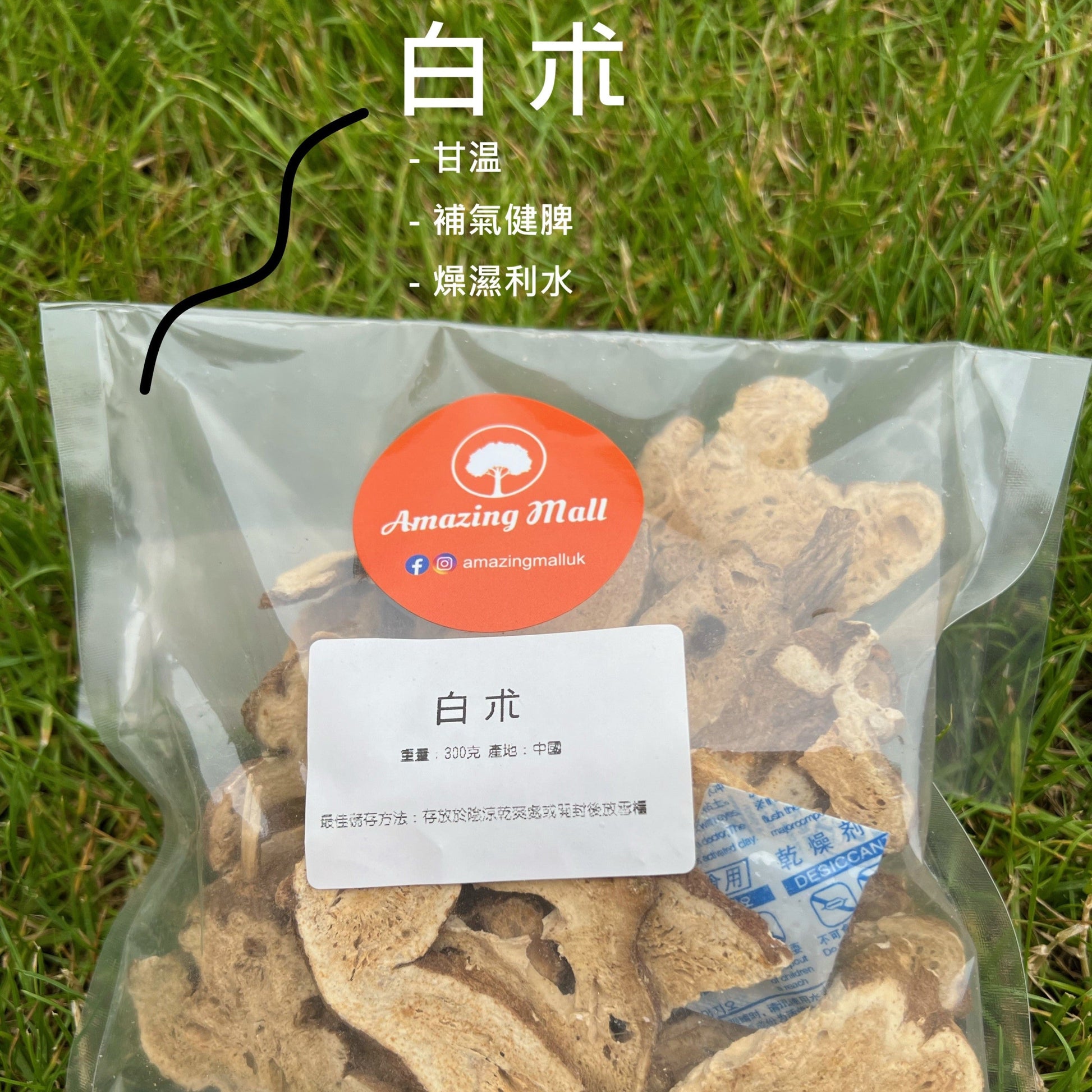 白朮 – MyAmazingMall