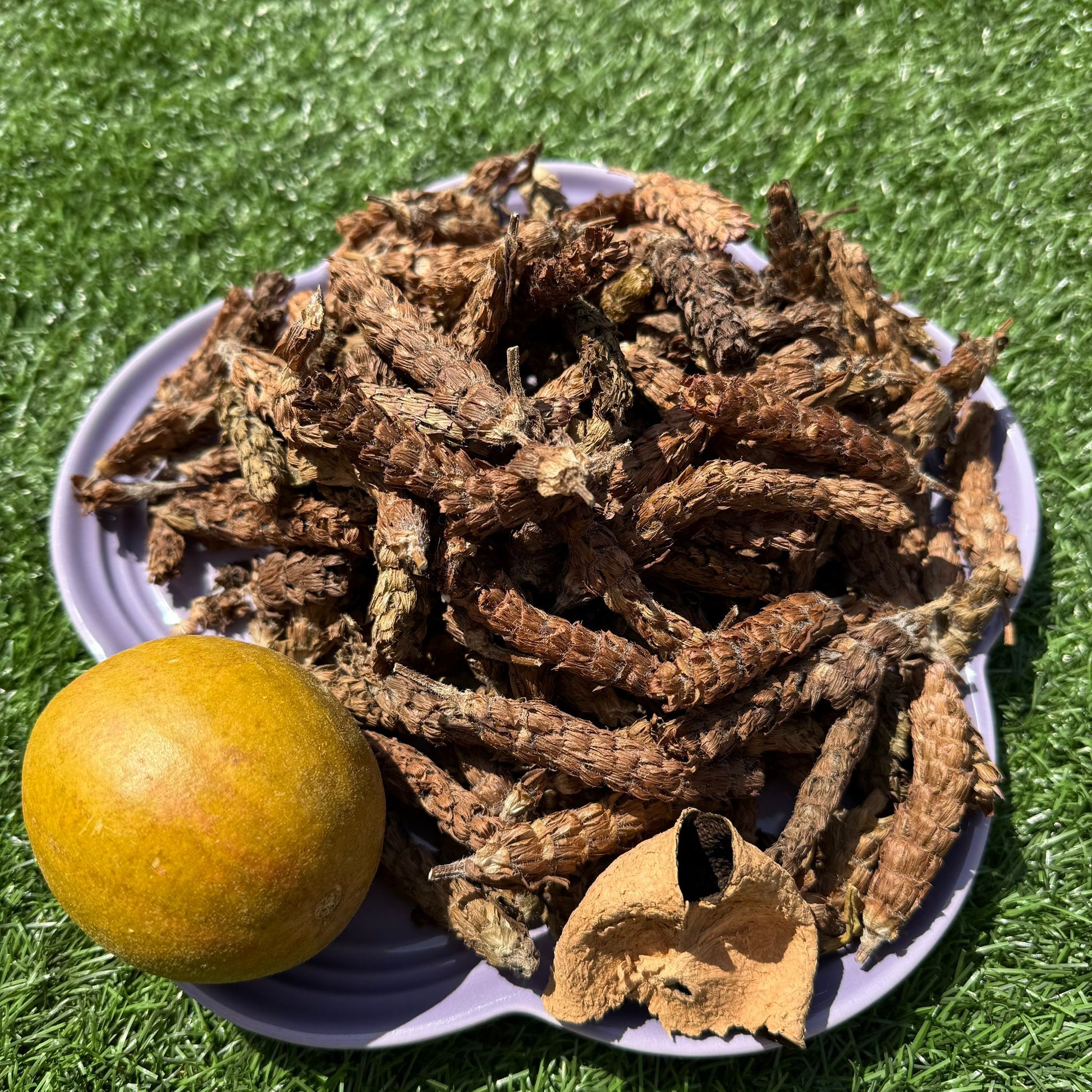 夏枯草羅漢果陳皮茶