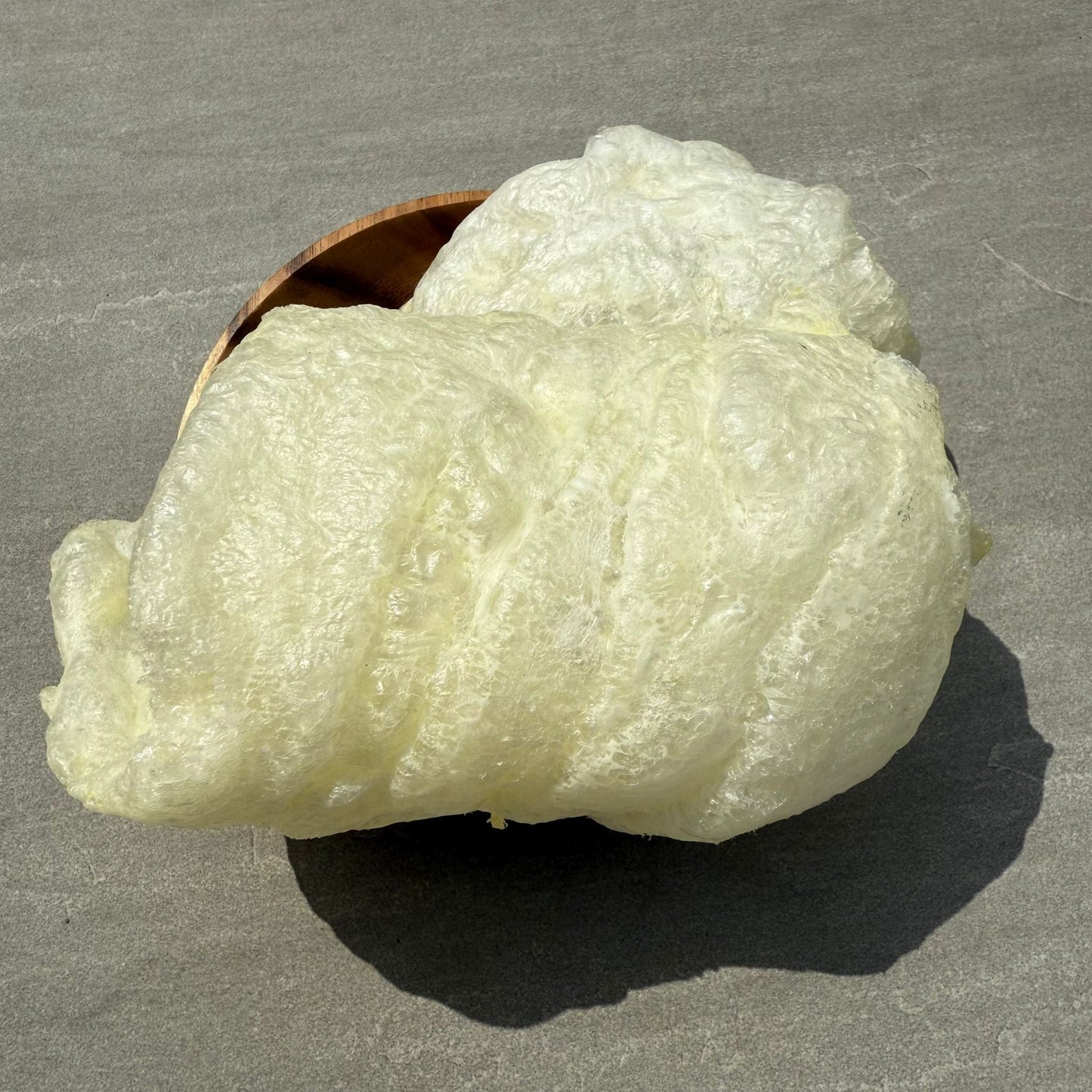 【含豐富蛋白質，鈣質】砂爆桂花魚肚