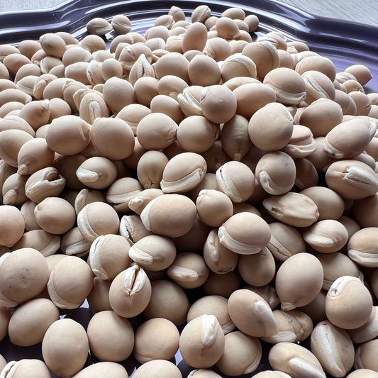 【健脾袪濕】南豆