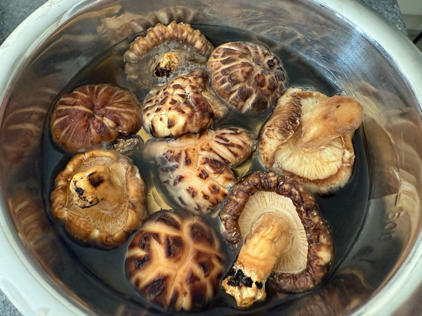 素魚翅