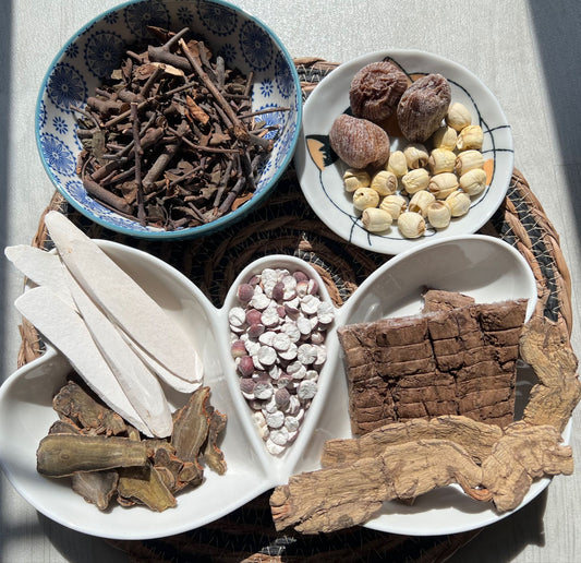 【強筋骨】巴戟杜仲田七湯(013)