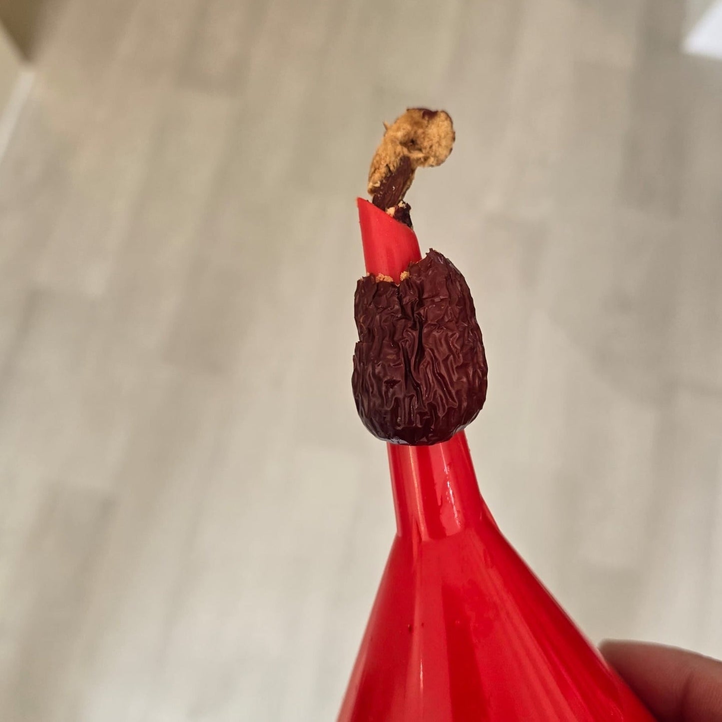 【四紅湯 - 紅豆、紅棗、杞子及花生】(068)