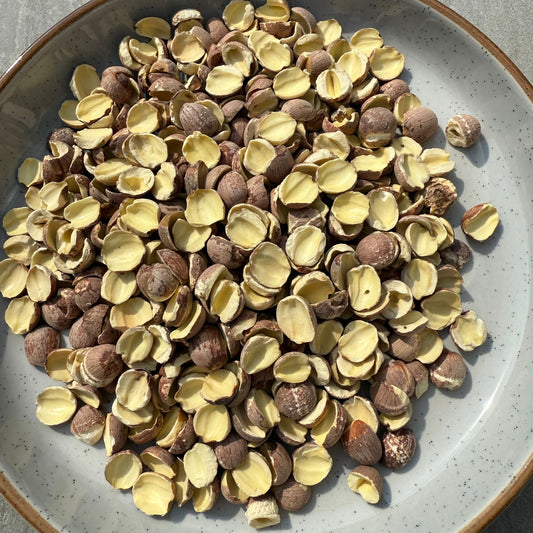 開邊湘蓮子(紅蓮子)