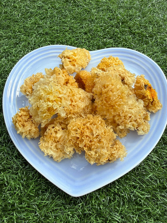 漳州銀耳