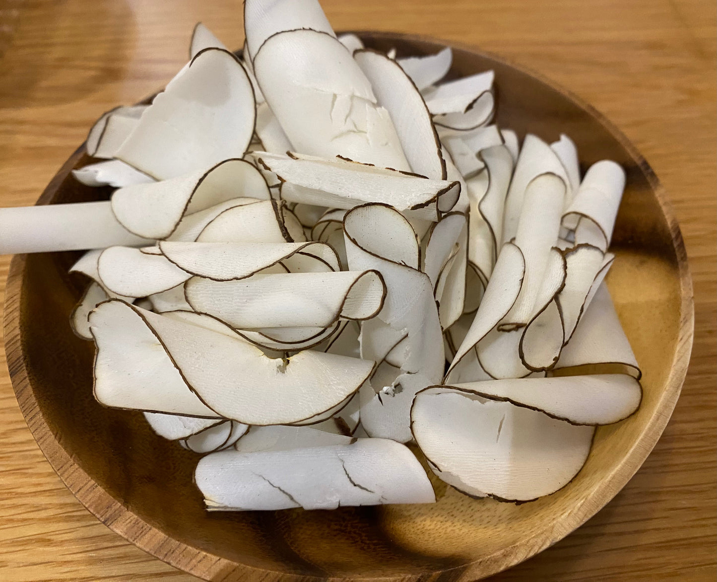 海底椰片